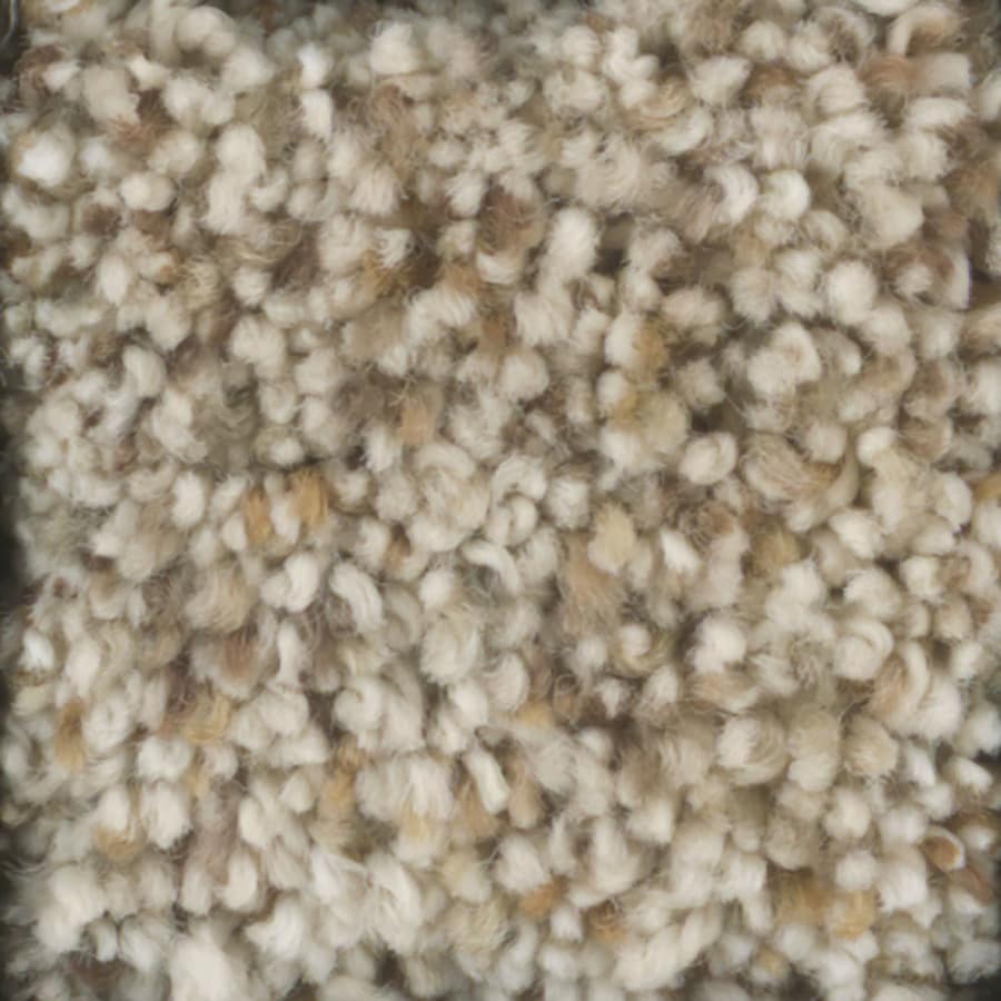 STAINMASTER Signature Pronounced Beauty 1 12-ft Textured Wild Rice Interior Carpet