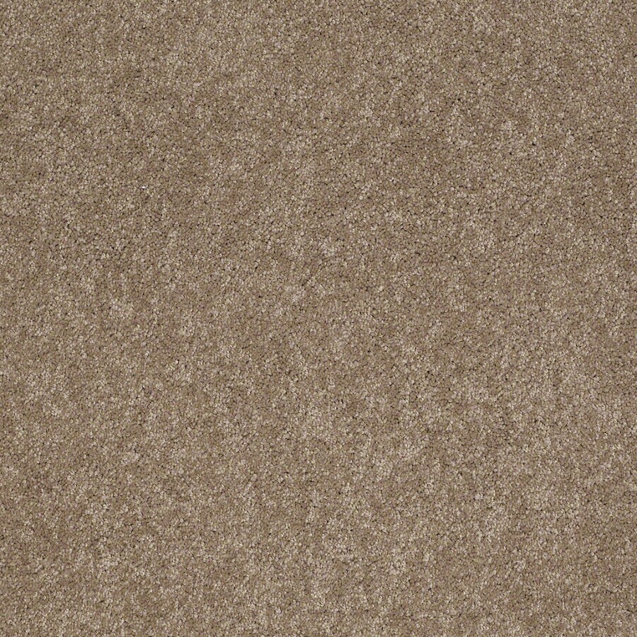 Shaw 8 x 11 Hazelnut Solid Area Rug at