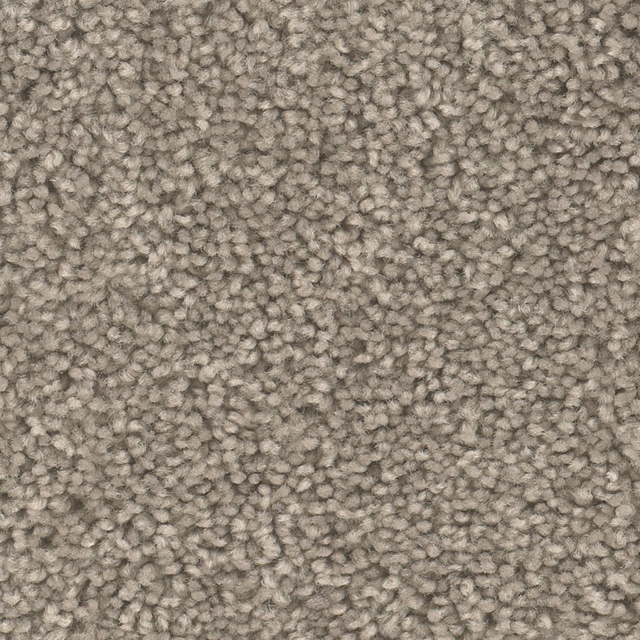 carpet picture