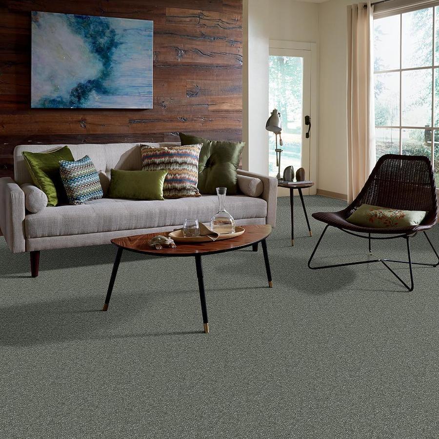 STAINMASTER 7L66800506  - View #6
