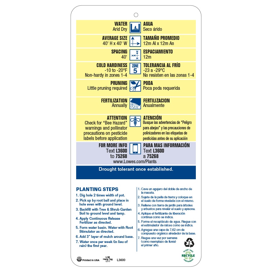  NURSERY trees - View #3