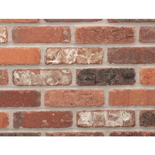 General Shale Providence Series 50Pack Alberta 1/2in x 8in Tumbled Ceramic Brick Look Wall