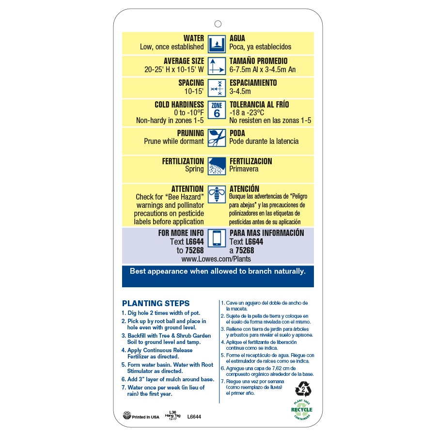 Lowe's NURSERY shrubs - View #4