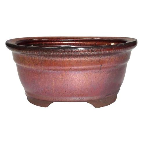 Brussel's Bonsai Rust Glaze Bonsai Pots at Lowes.com