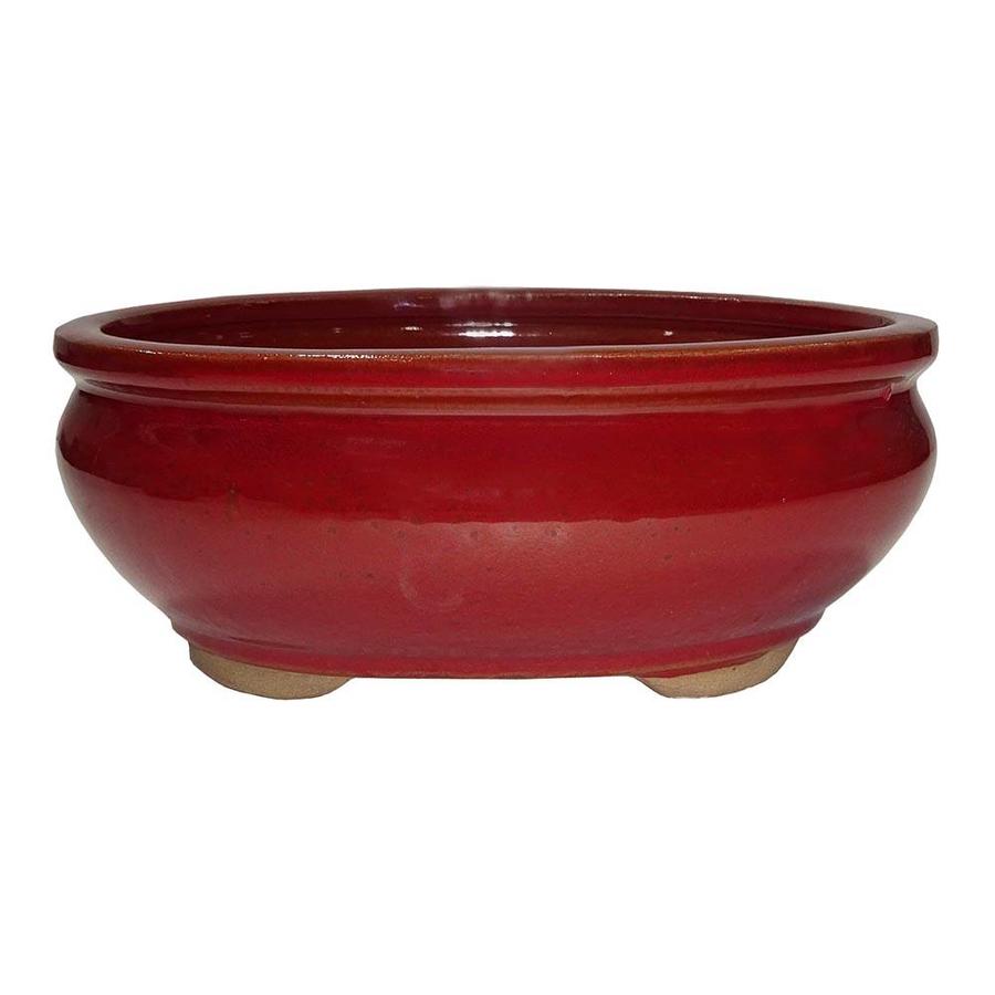 Brussel s Bonsai  Red  Glaze Bonsai  Pots  at Lowes com