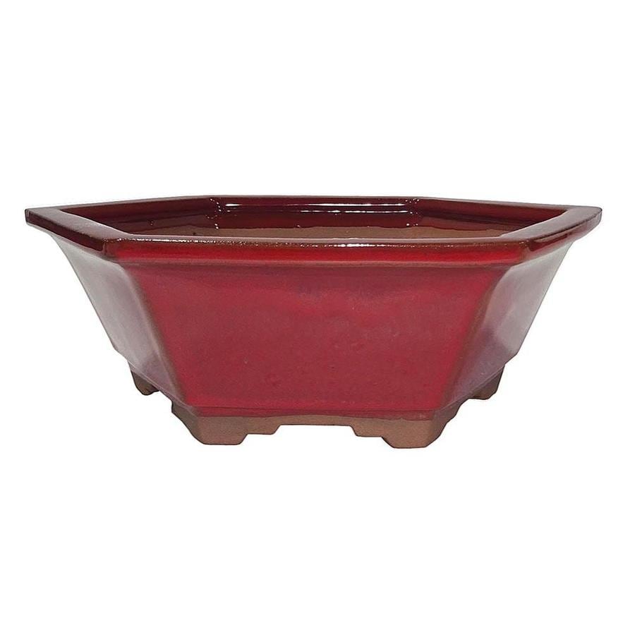 Brussel s Bonsai  Red  Glaze Bonsai  Pots  at Lowes com