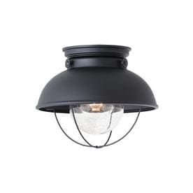 Sea Gull Lighting - Sebring Transitional 1 Light Outdoor Ceiling Fixture in