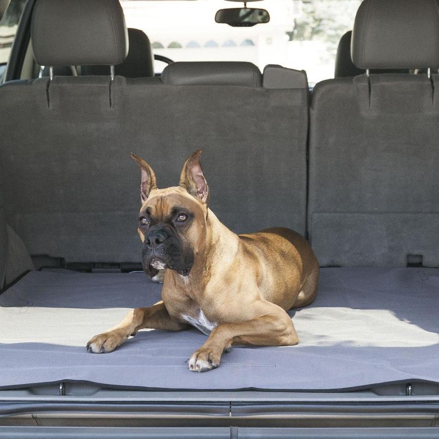 dog seat covers near me