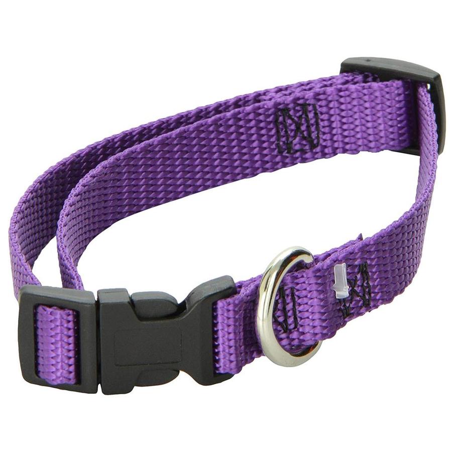 Majestic Pet Products Purple Nylon Dog Collar at Lowes.com