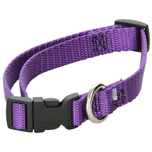 Majestic Pet Products Purple Dog Collar, Medium in the Pet Collars ...