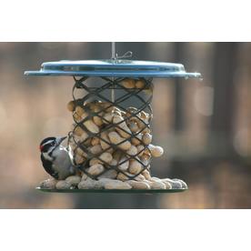 Birds Choice Whole Peanut Feeder - Green