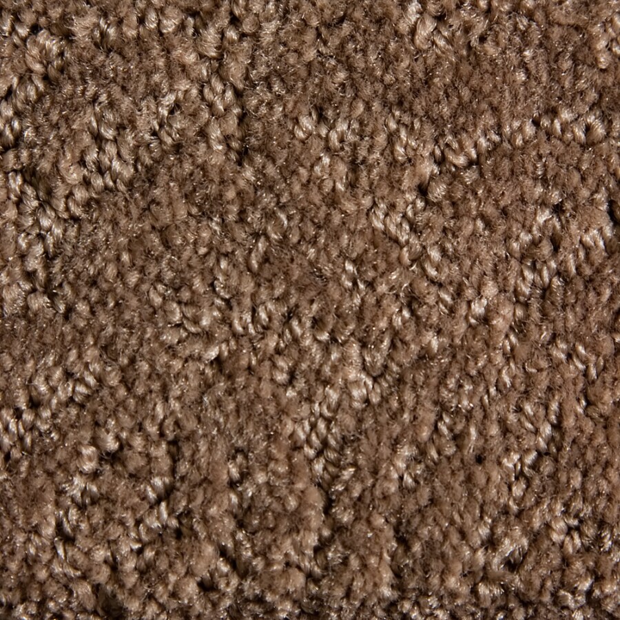 STAINMASTER 839123 Active Family Gallery Tan/Brown Carpet