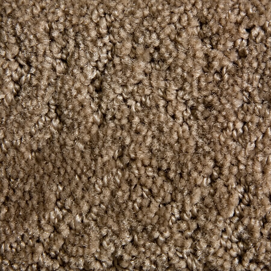 STAINMASTER 839111 Active Family Gallery Tan/Brown Carpet