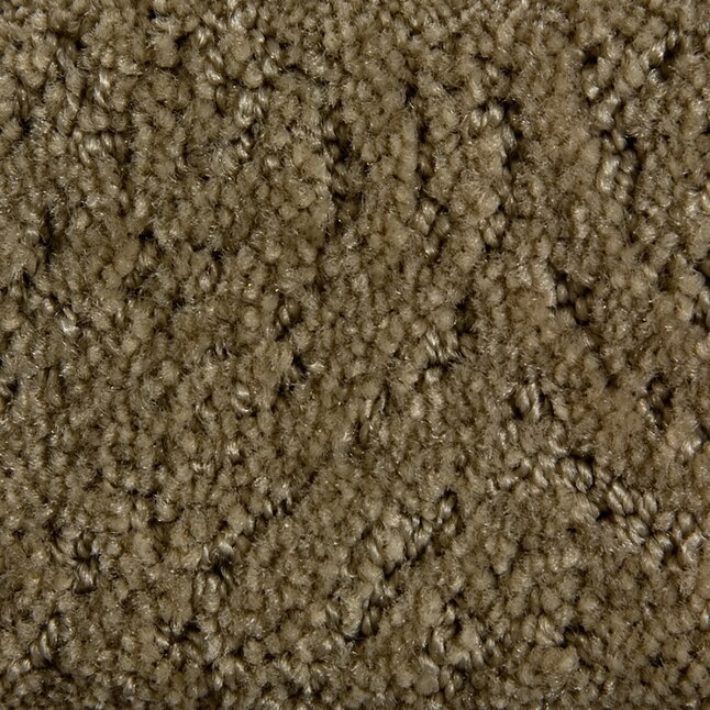 STAINMASTER 839103 Active Family Gallery Green Carpet