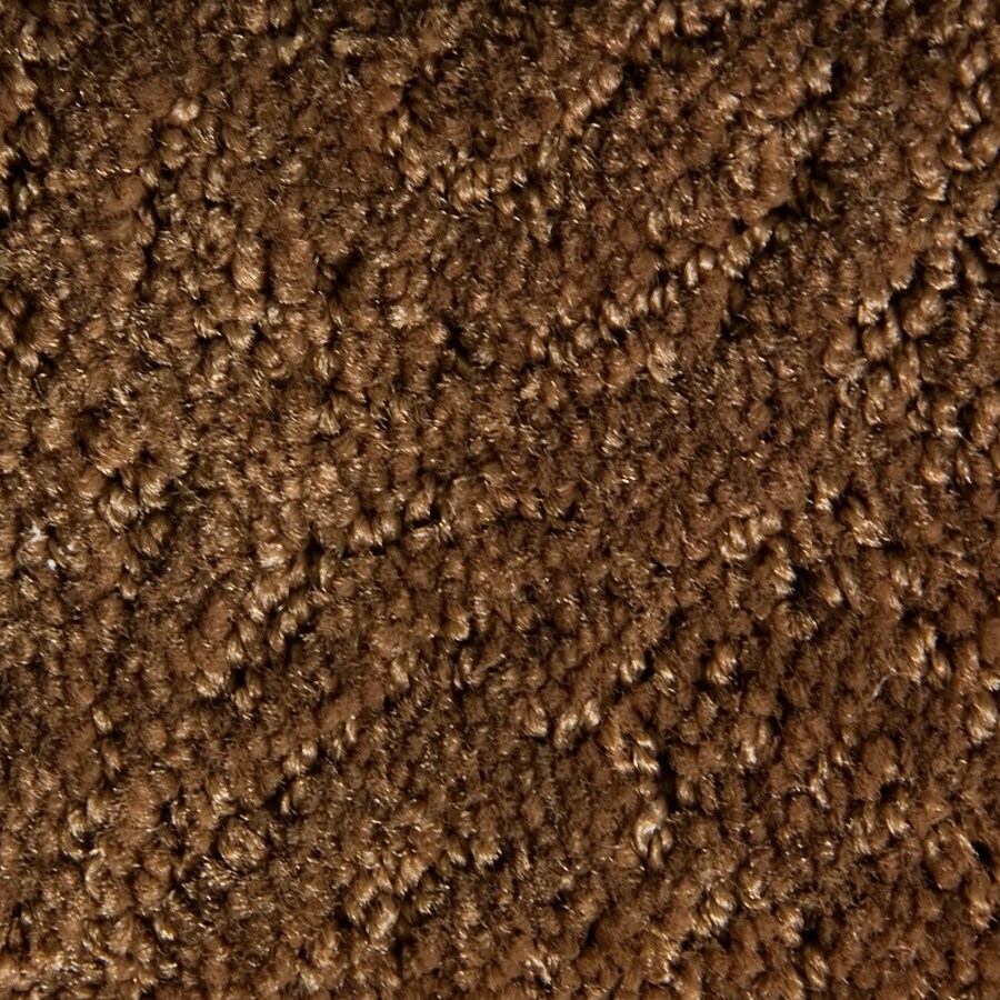 STAINMASTER 840161 Active Family Gallery Tan/Brown Carpet