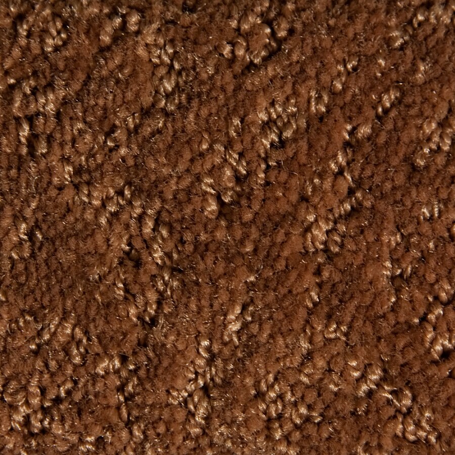 STAINMASTER 840120 Active Family Gallery Red Carpet