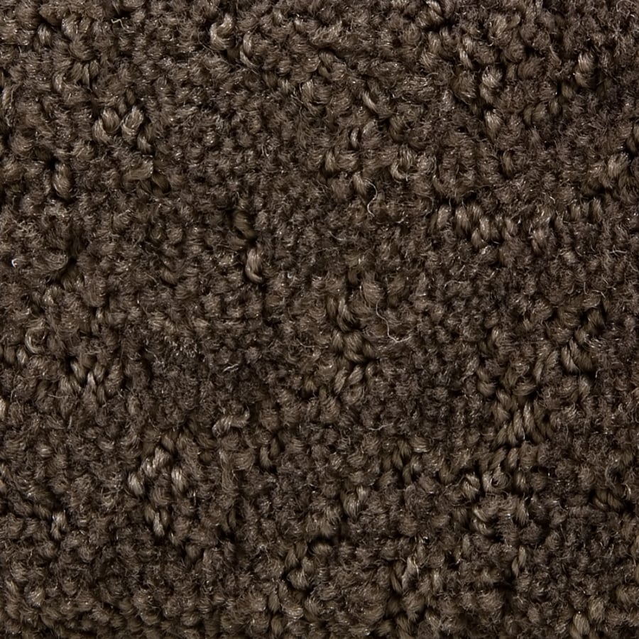 STAINMASTER 840129 Active Family Gallery Tan/Brown Carpet - Thumbnail