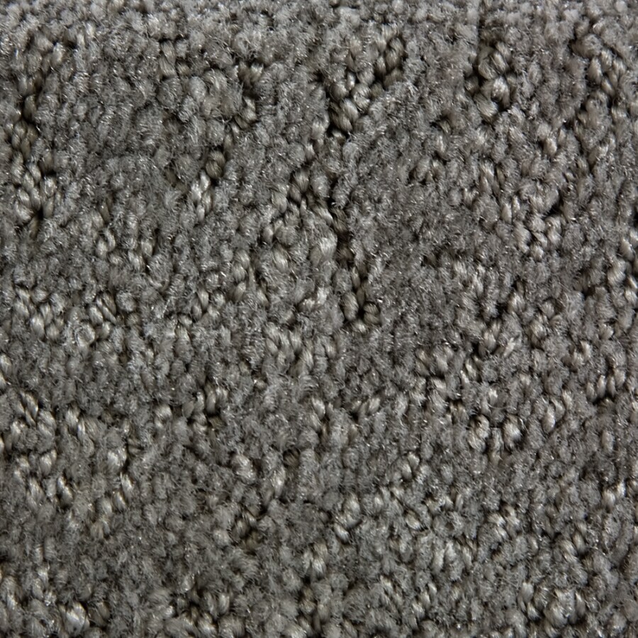 STAINMASTER 840127 Active Family Gallery Cinders Carpet
