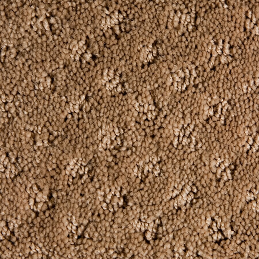 STAINMASTER 91807 Active Family Exhilaration Tan/Brown Pattern Interior Carpet