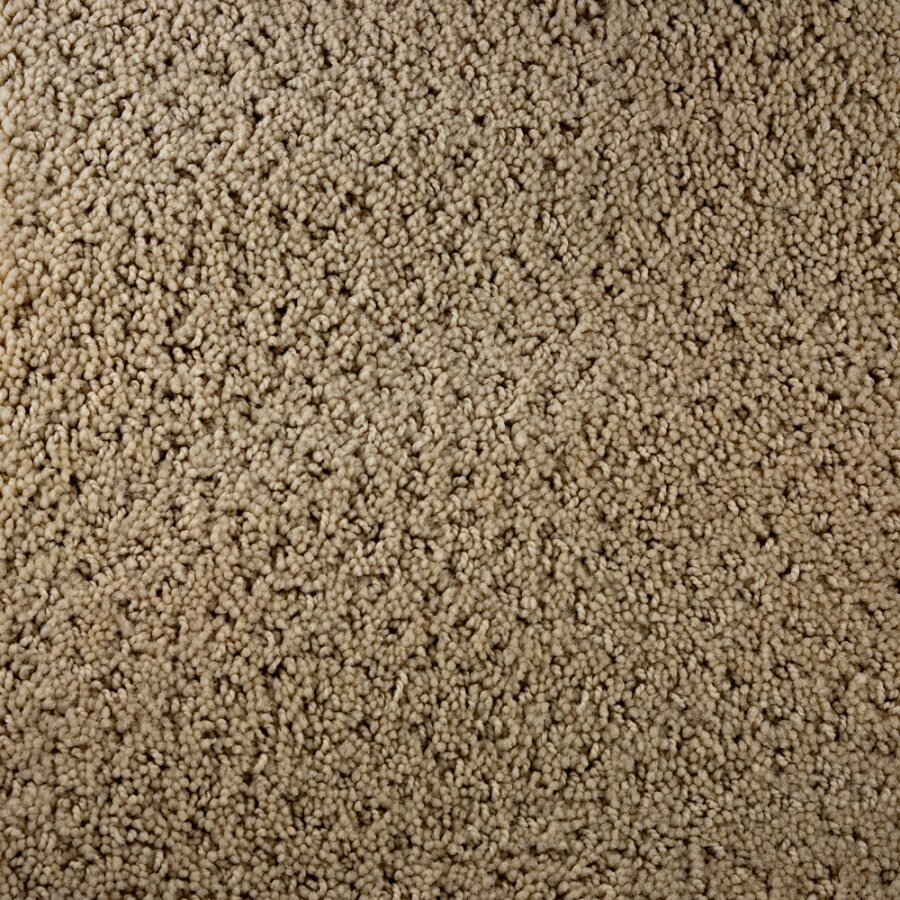 STAINMASTER 48909 Active Family Gallery Lesson Carpet
