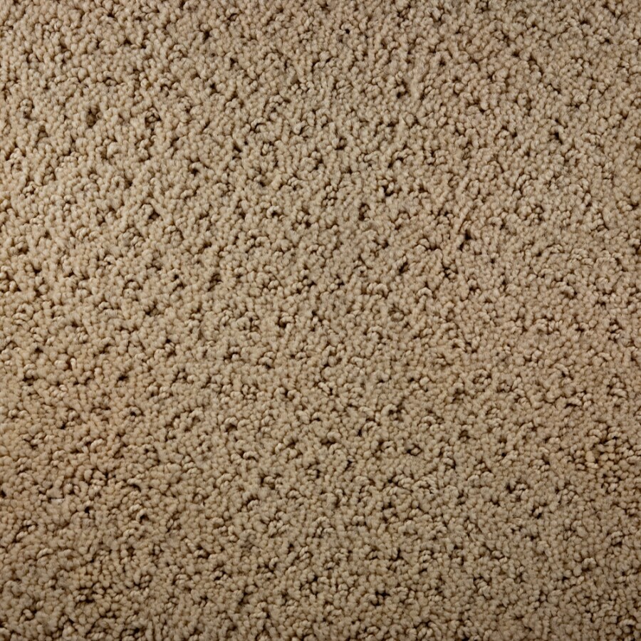 STAINMASTER 48915 Active Family Gallery Track Carpet