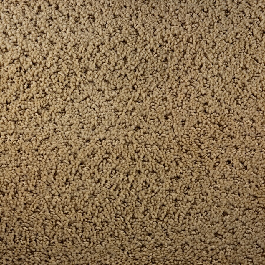 STAINMASTER 48913 Active Family Gallery Mozart Carpet