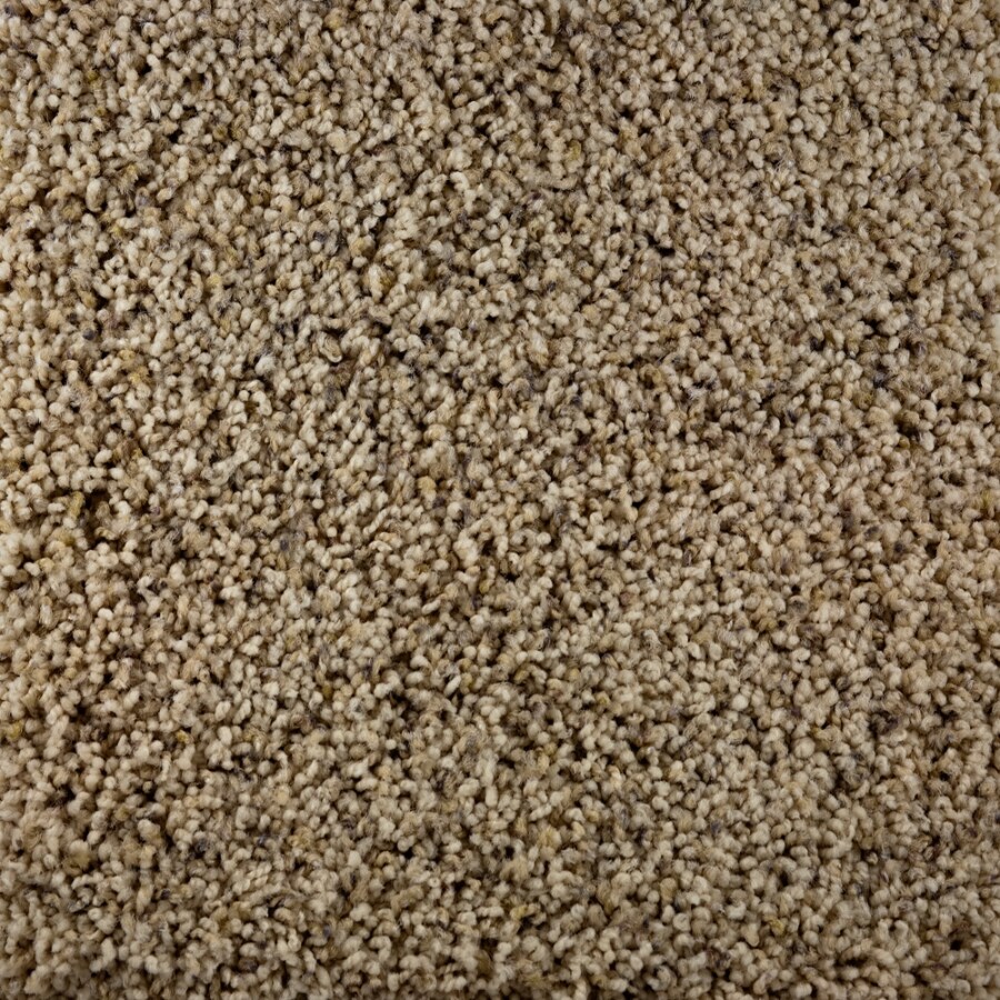 STAINMASTER 48707 Active Family Active Family Gallery Andes Carpet