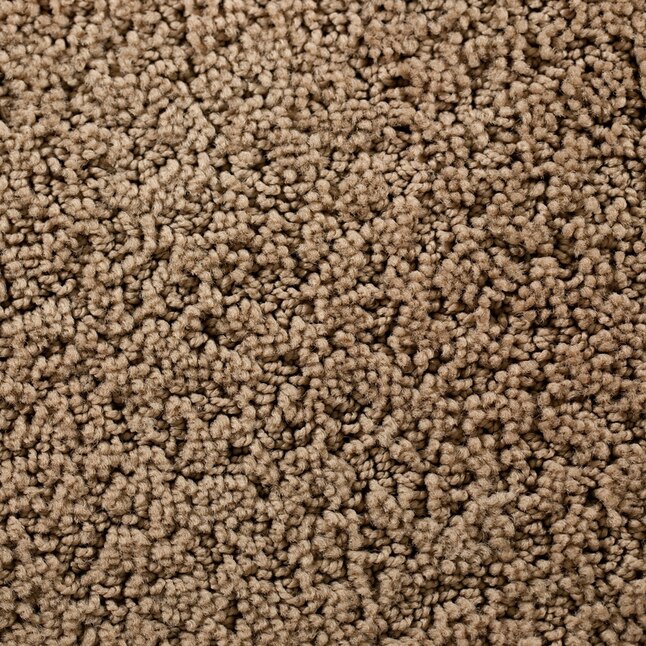 STAINMASTER 53105 Active Family Surfside Sunset Beach Pattern Interior Carpet