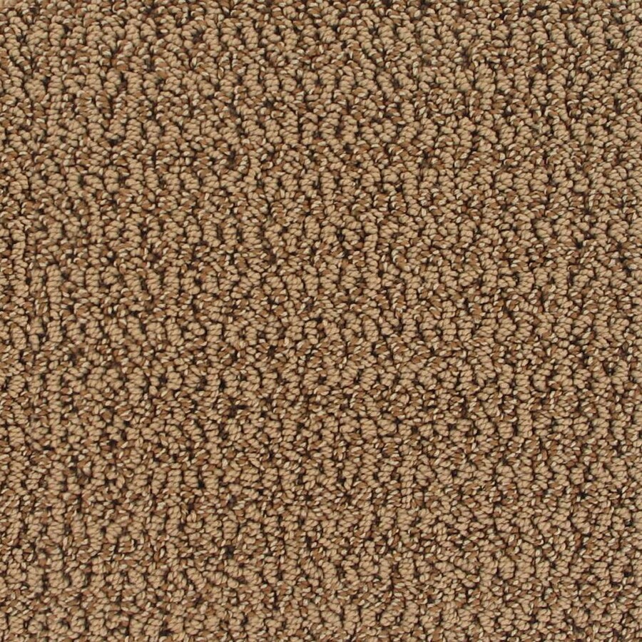 Royalty Carpet Mills 1135802 Active Family Romanza Oroville Berber/Loop Interior Carpet