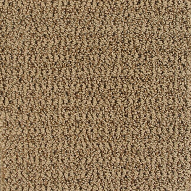 Royalty Carpet Mills 1135809 Active Family Romanza Samoa Berber/Loop Interior Carpet