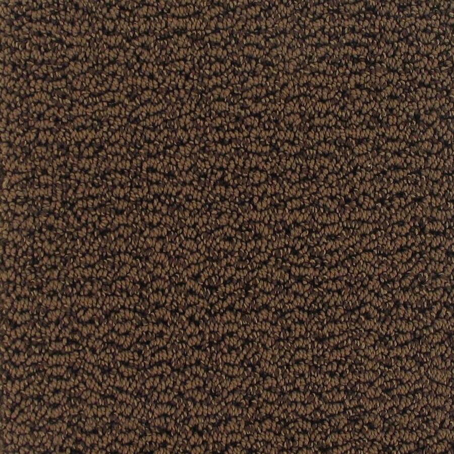Royalty Carpet Mills 1135826 Active Family Romanza Bonaire Berber/Loop Interior Carpet