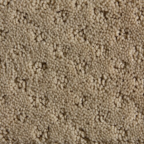 Royalty Carpet Mills Active Family Calypso Only You Pattern Interior