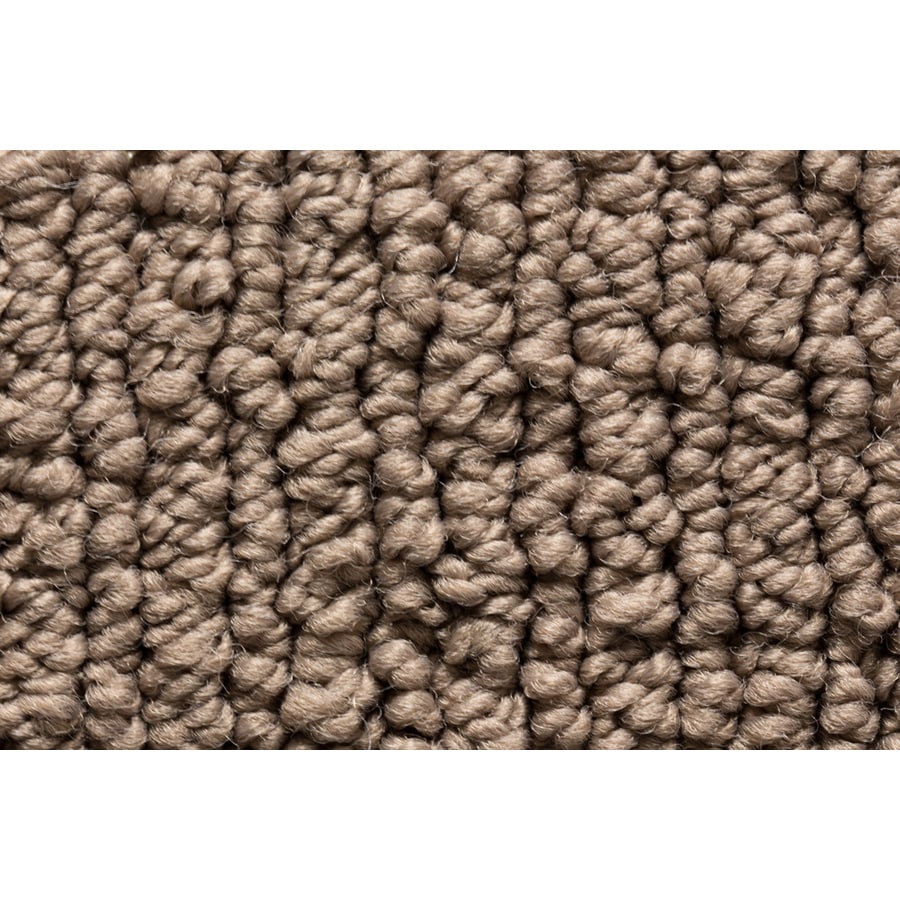 Royalty Carpet Mills Active Family Sojourn Wood Panel Berber/Loop