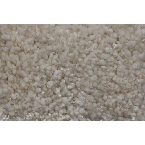Royalty Carpet Mills TruSoft Footloose Luminous White Textured Interior