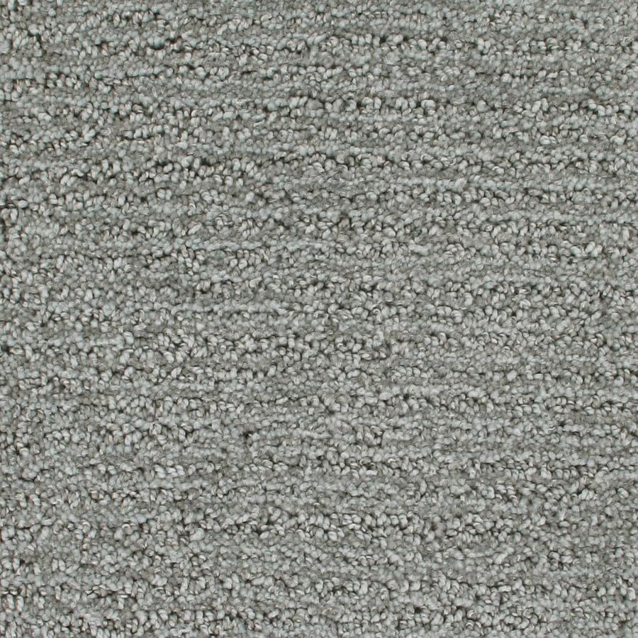 Royalty Carpet Mills Active Family Astronomer Fashion Forward Indoor