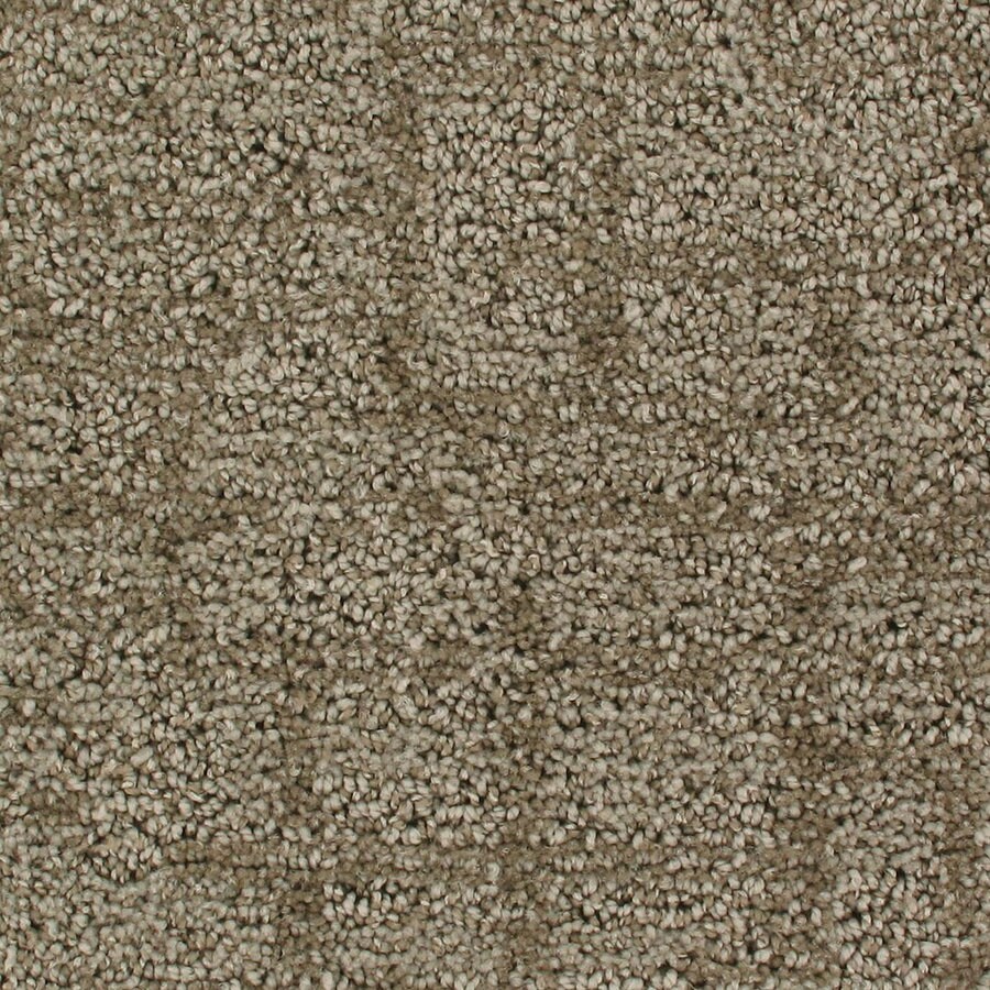 Royalty Carpet Mills Active Family Halo Fashion Forward Indoor Carpet