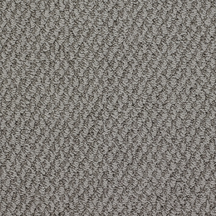 STAINMASTER 2696006 Active Family Oracle Hope Diamond Berber/Loop Interior Carpet