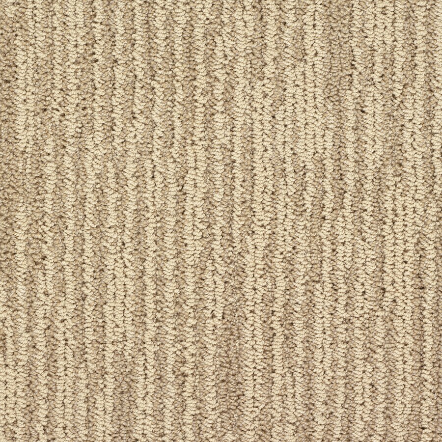 STAINMASTER 2706029 Active Family Olympian Niagara Falls Berber/Loop Interior Carpet