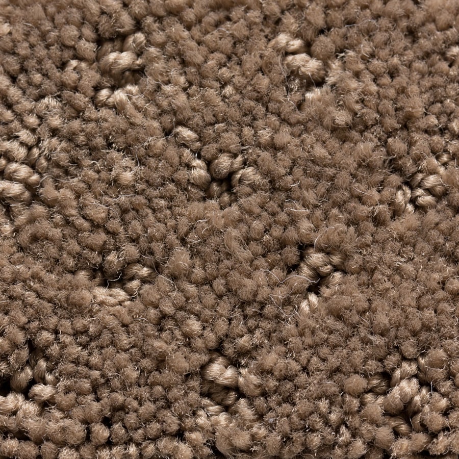 STAINMASTER 14067 Active Family Presidio Creation Pattern Interior Carpet
