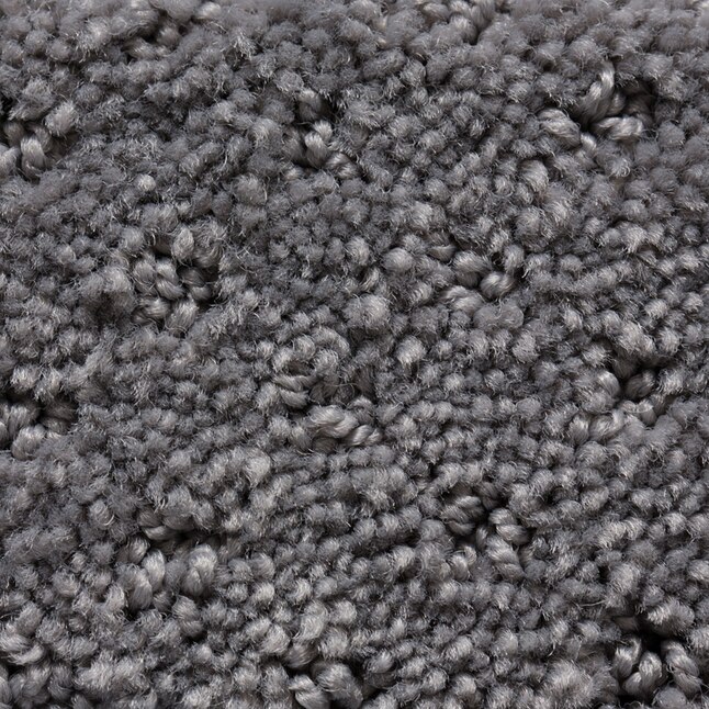 STAINMASTER Active Family Duration Charade Pattern Interior Carpet at ...