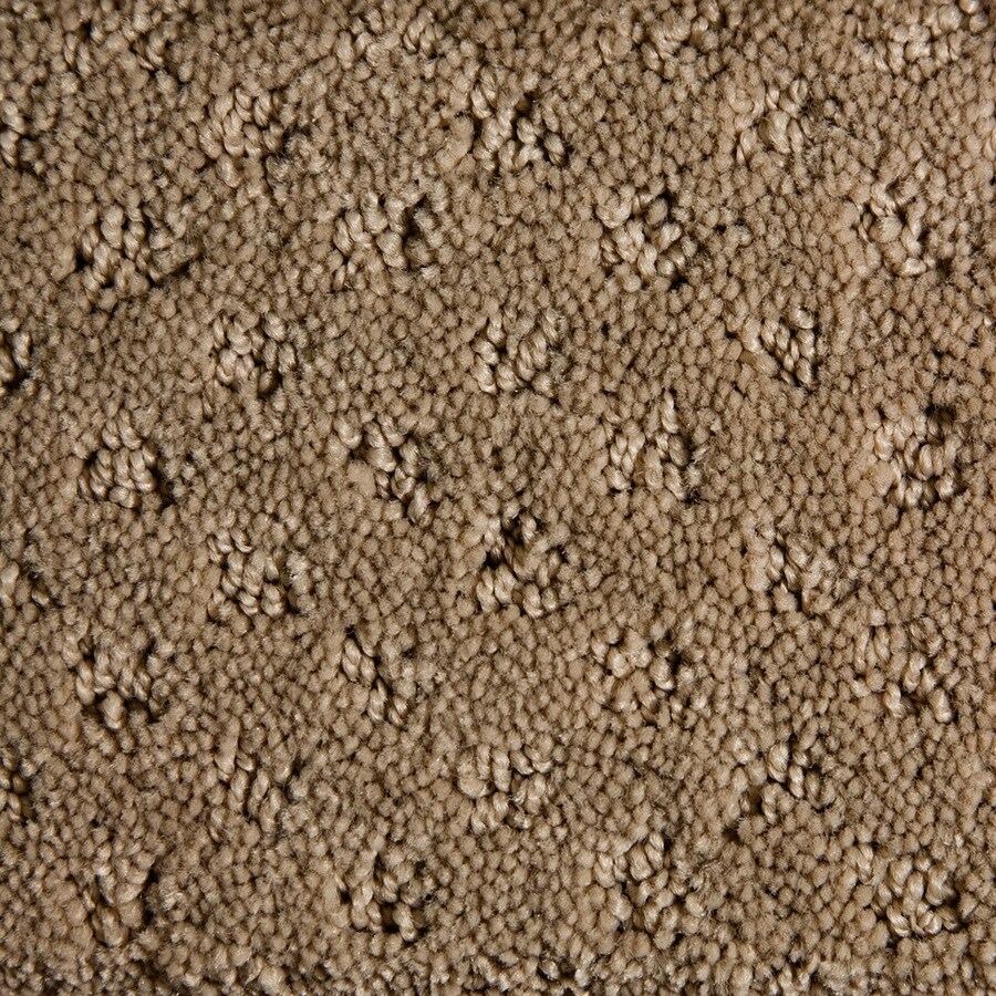 STAINMASTER 92008 Active Family Duration Dream Lover Pattern Interior Carpet