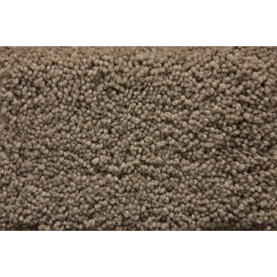 STAINMASTER 149AP Active Family Savoy Ash Plush Interior Carpet