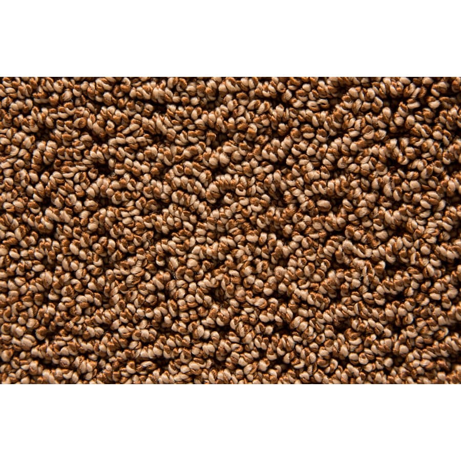 STAINMASTER 150BF TruSoft Compassion Patina Pattern Interior Carpet