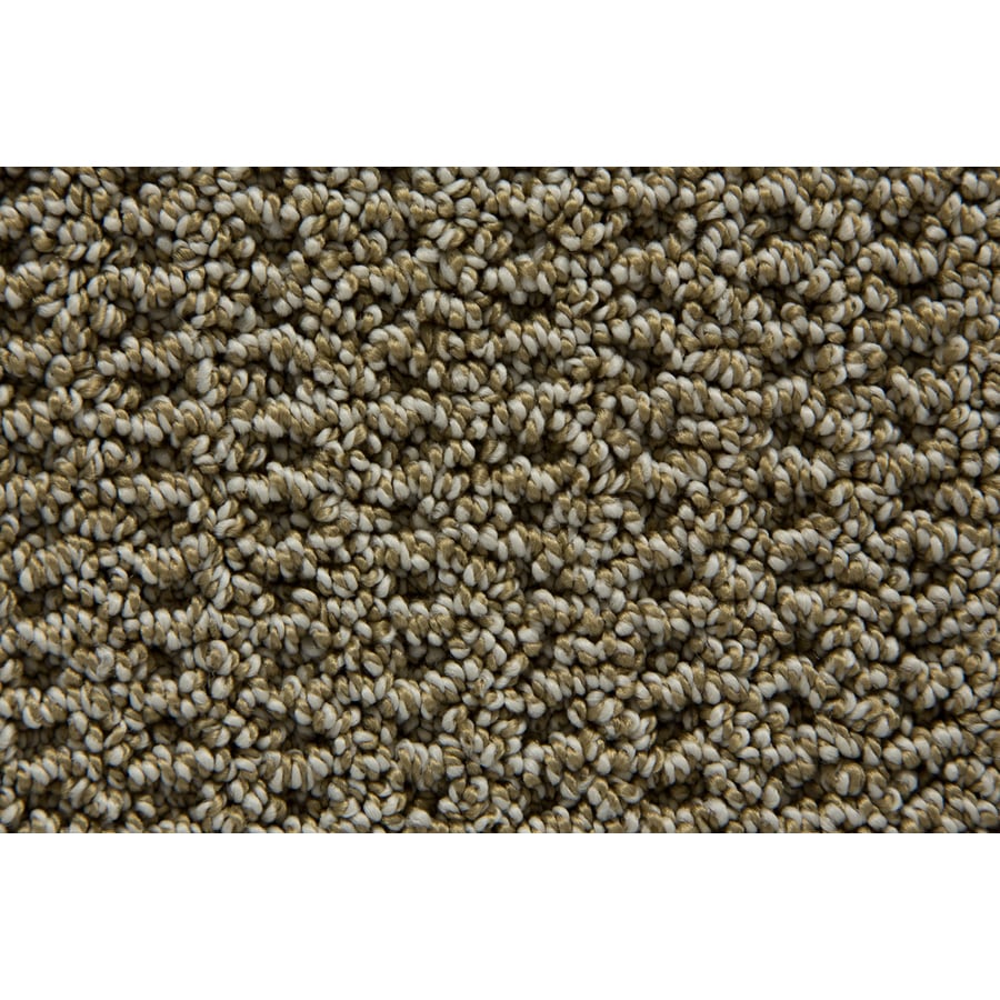 Moda Carpet 154AZ TruSoft Stainmaster Gallery Alpine Multi-Level Loop Pile Indoor Carpet