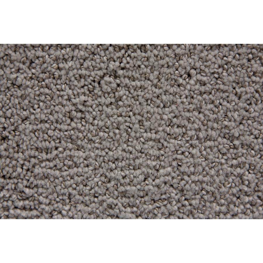 Moda Carpet 151AU Trusoft Stainmaster Gallery Twill Cut and Loop Indoor Carpet