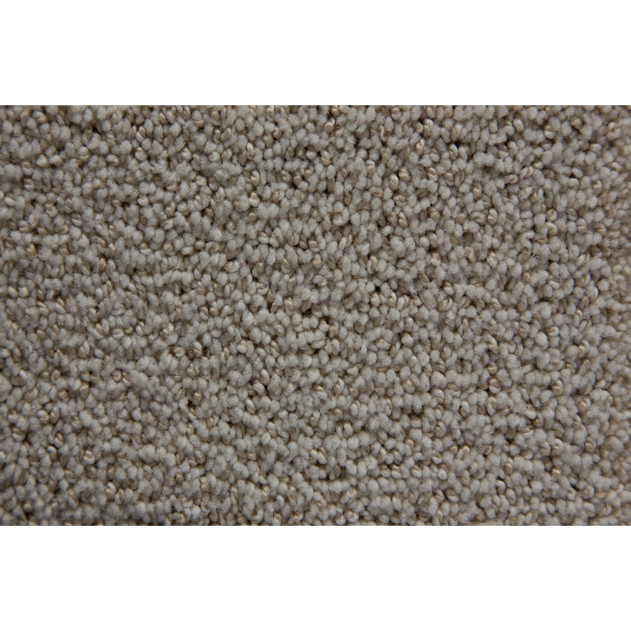 STAINMASTER 153AA TruSoft Mixology Celestial Pattern Interior Carpet