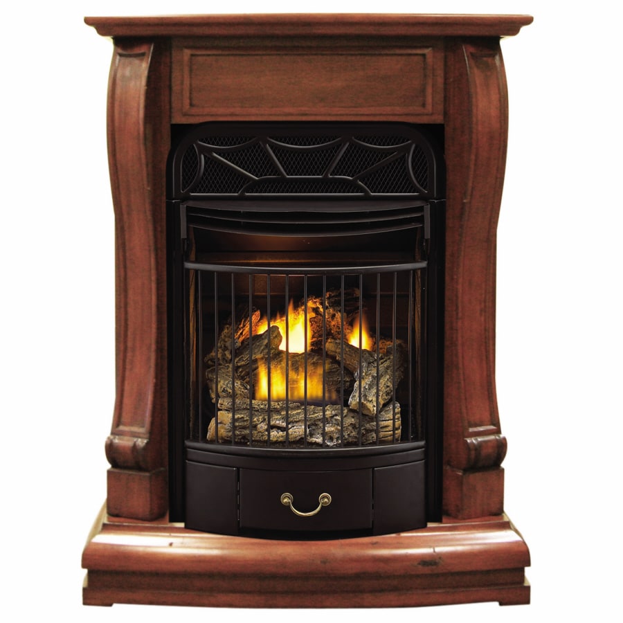 Shop Style Selections 29.13in DualBurner Sienna Liquid Propane and Natural Gas Fireplace at 