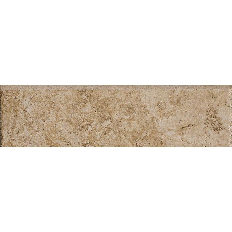 Shop Accent Trim Tile At Lowescom