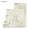 Style Selections Ivetta White 12-in x 12-in Porcelain Floor and Wall ...