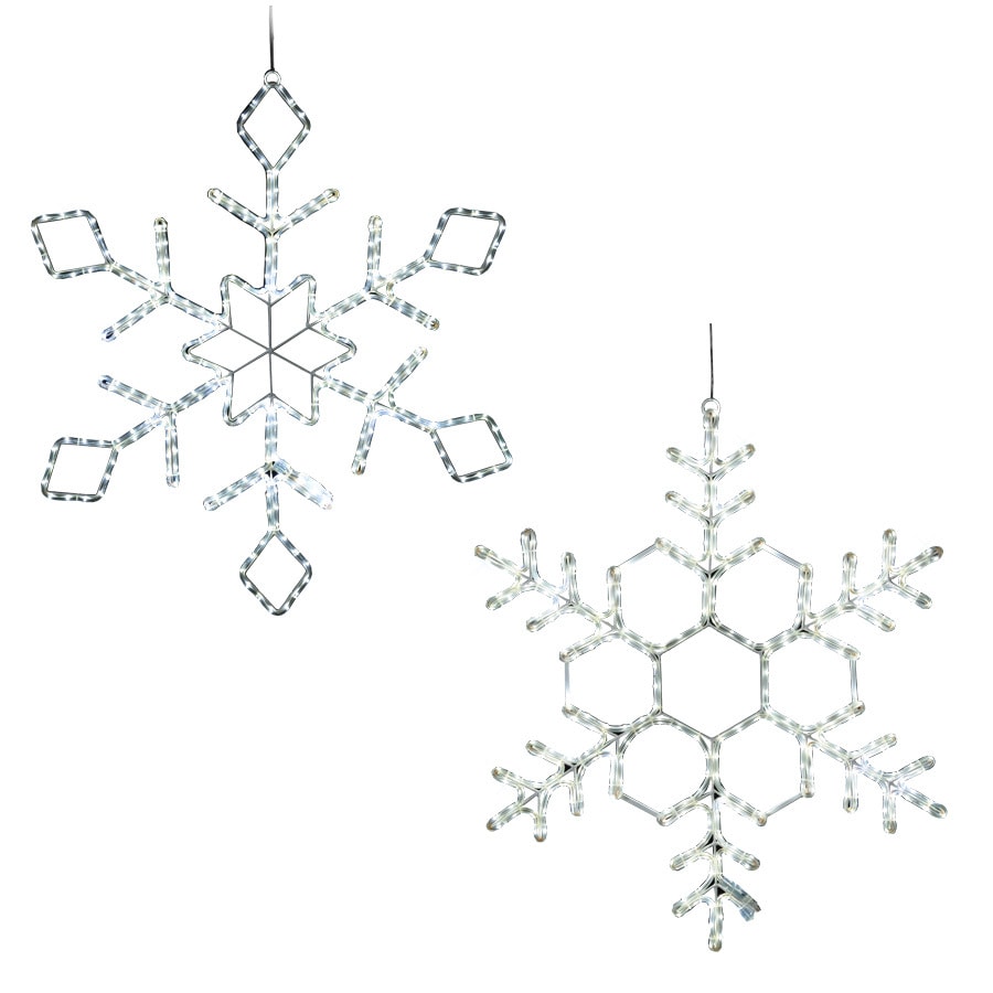 Image result for 2 snowflakes